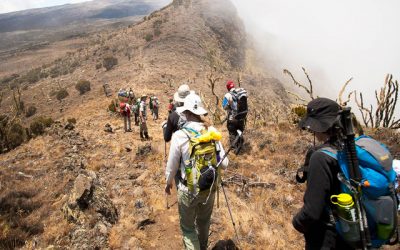 kilimanjaro-climbing-lemosho-route