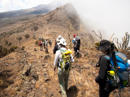 kilimanjaro-climbing-lemosho-route