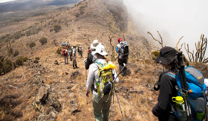 kilimanjaro-climbing-lemosho-route