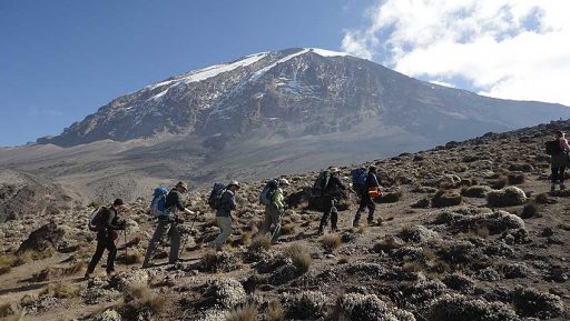Kilimanjaro Trek: Lemosho Route 9 Days