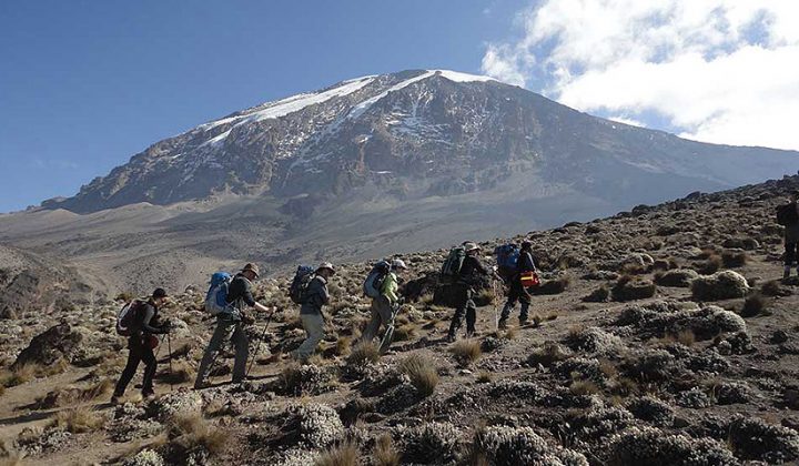 Kilimanjaro Trek: Lemosho Route 9 Days