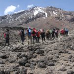 Kilimanjaro-Rongai-route trekking