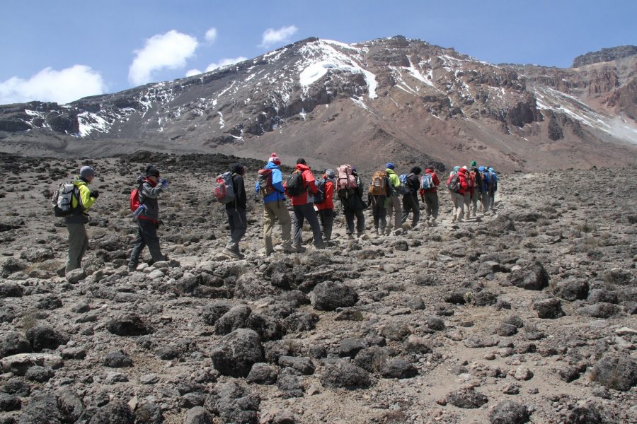 Kilimanjaro-Rongai-route trekking