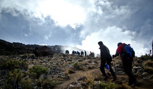 Kilimanjaro Trek: Rongai Route 6 Days