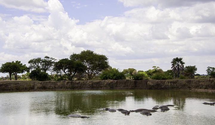 4 Days / 3 Nights Mikumi National Park / Udzungwa National Park