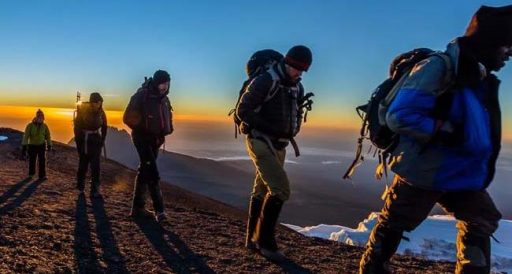 Kilimanjaro Trek: Lemosho Route 7 Days