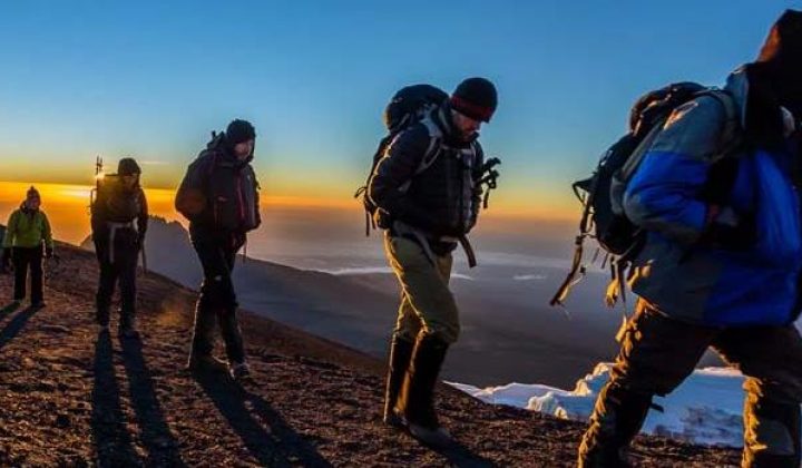 Kilimanjaro Trek: Lemosho Route 7 Days