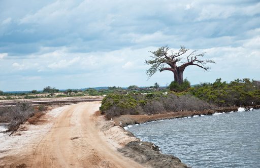 2 Day / 1 Night Safari to Bagamoyo / Saadani National Park